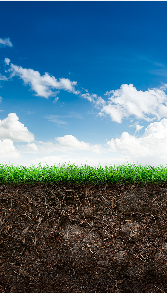 picture of aerated soil and healthy grass next to sign up form for reduce the runoff