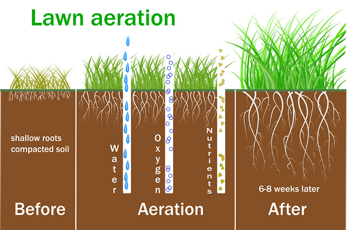 Great-Lakes-CCC-Reduce-The-Runoff-lawn-aeration