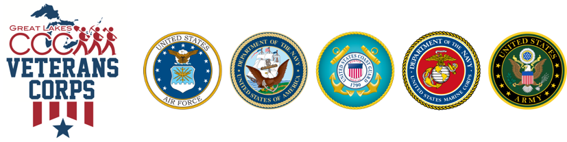 U.S. military branch logos